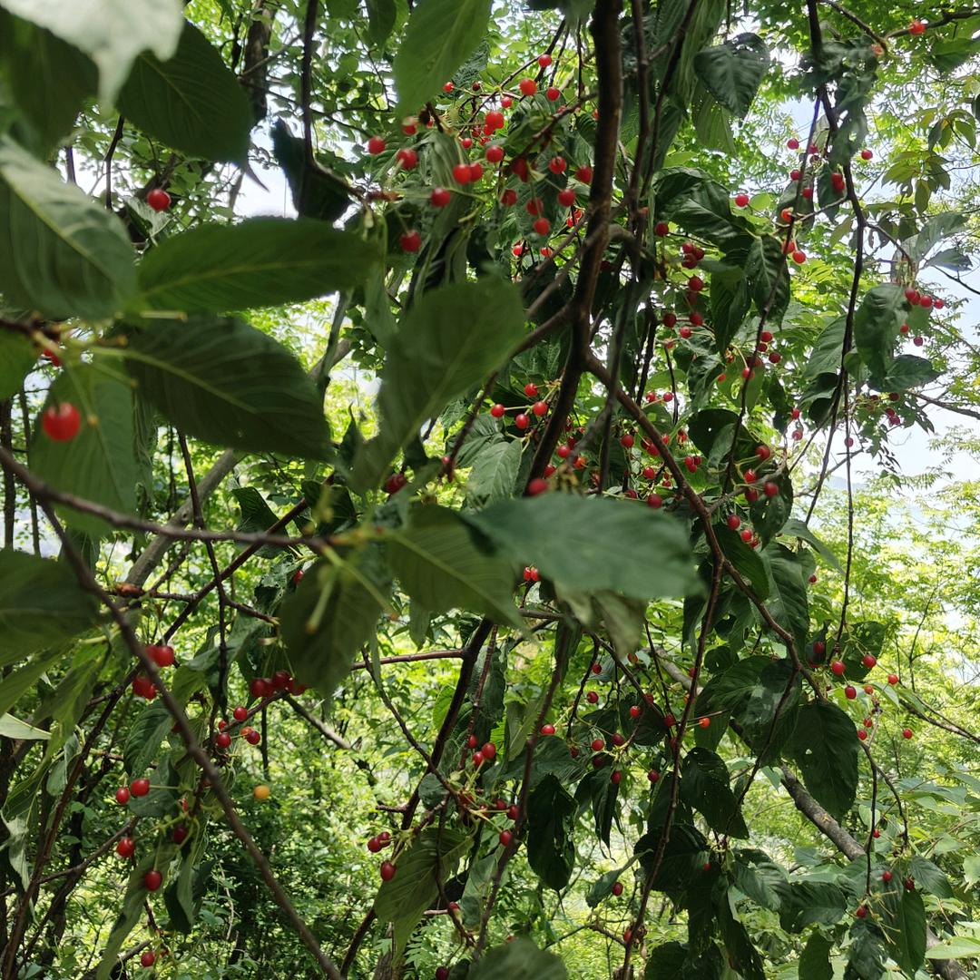 迎风点烟