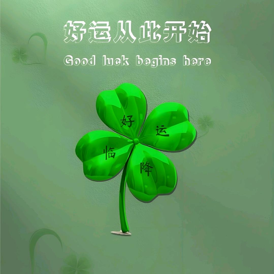 叶子优选