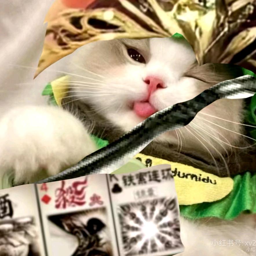 见我全跪拜(三国杀同名)