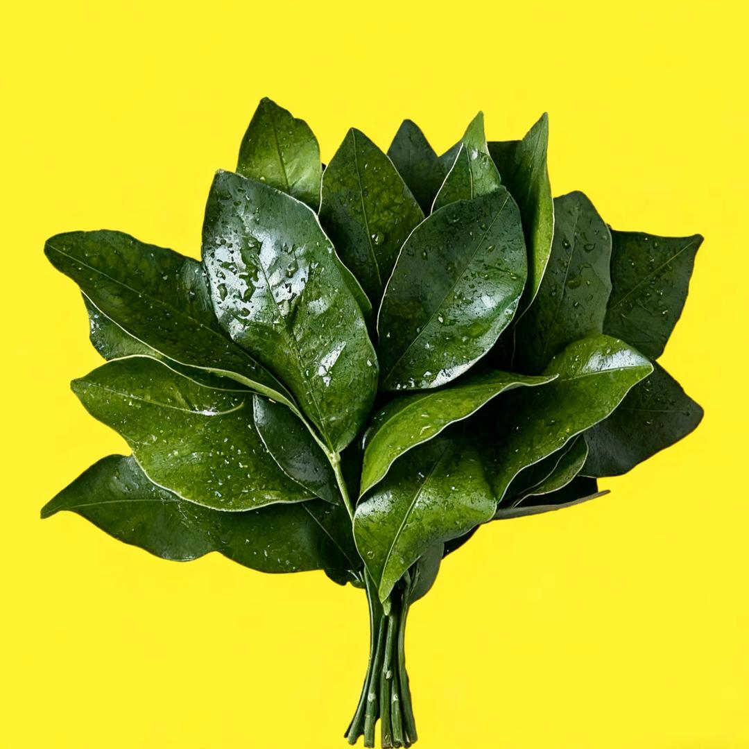 🧚🏻‍♀️财神爷的心尖尖♥️