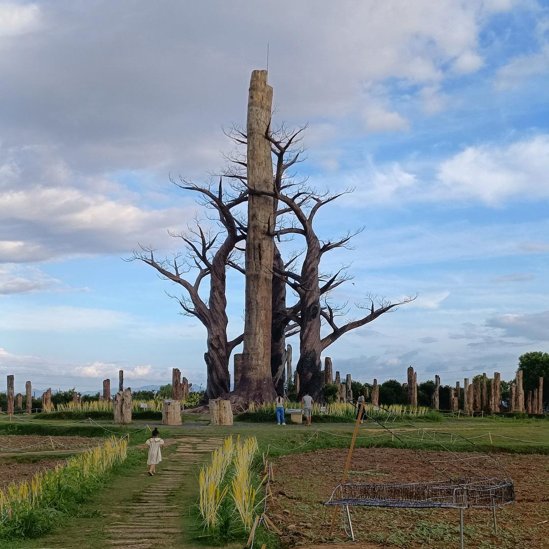 🌹往后余生请多指教