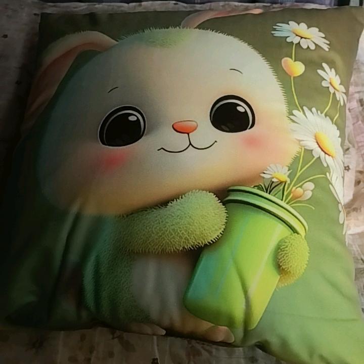 湖北妞