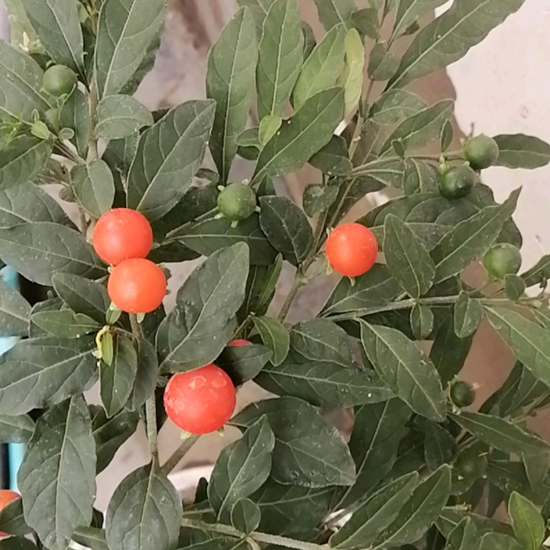 逆流而上🌈