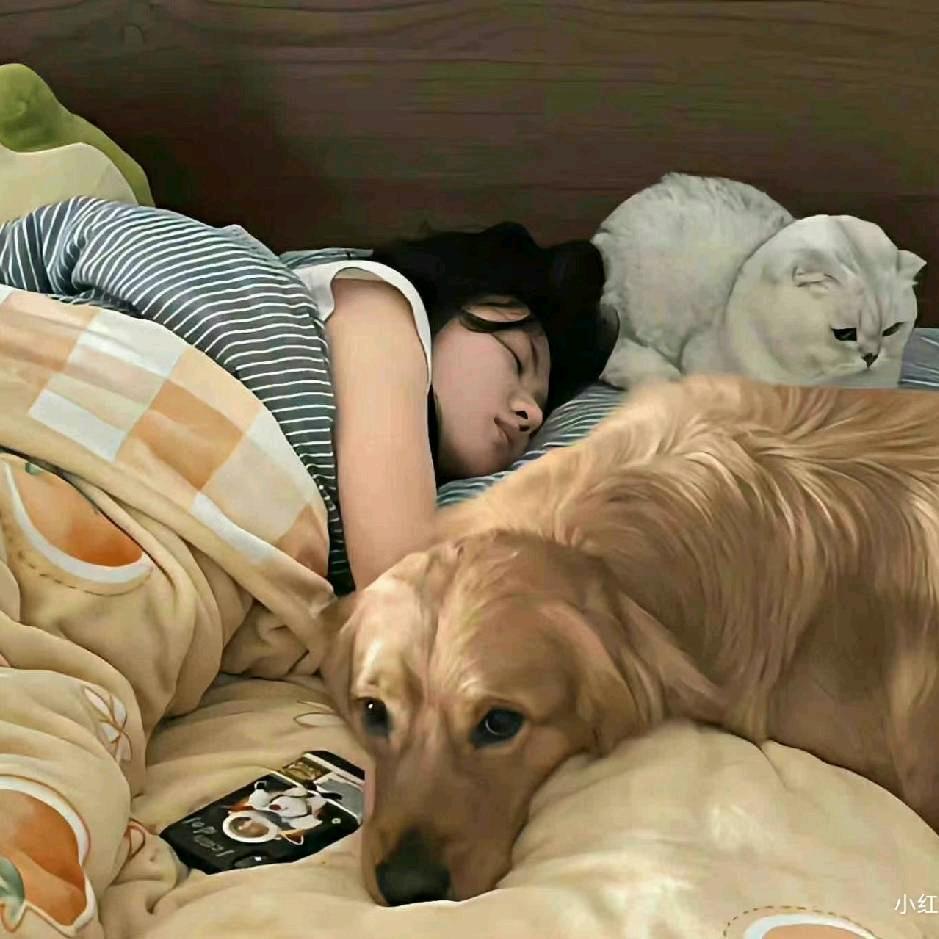 小乖没有糖