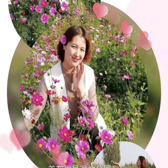 欧力达农业小高