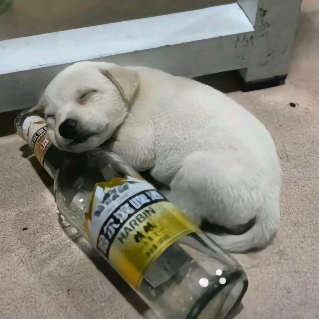 ^ω^
