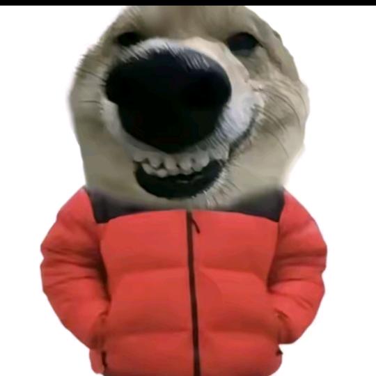 日行一善积大德，日行两善积积大大德