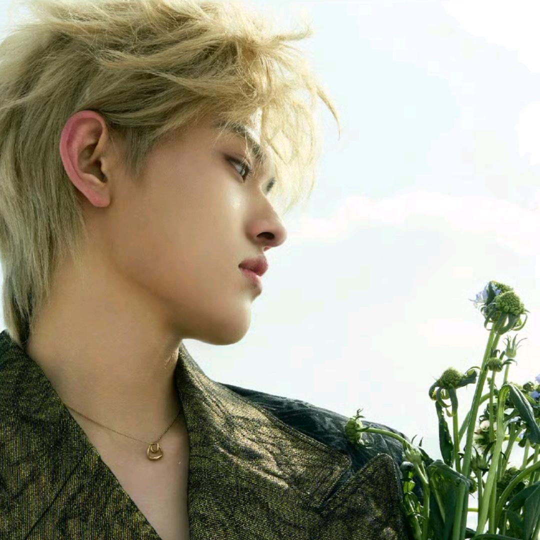 蓬舟。(见过弘石版）