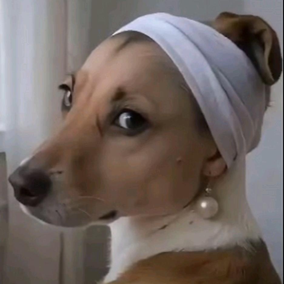 我的宝宝（陕西槟榔）