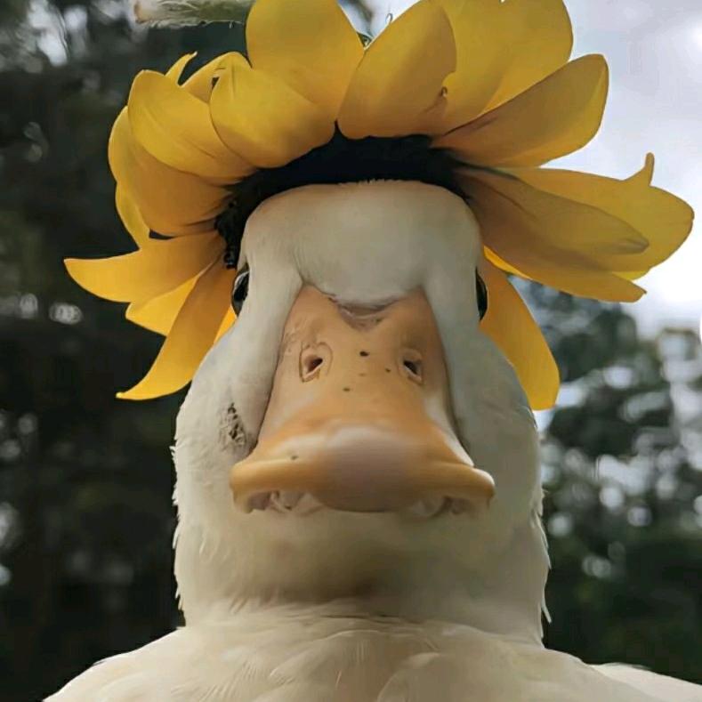 鲅鱼（三角洲行动）