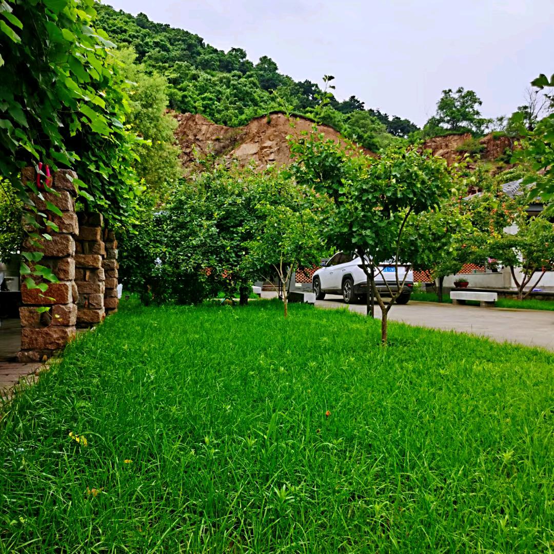 御墅林峰