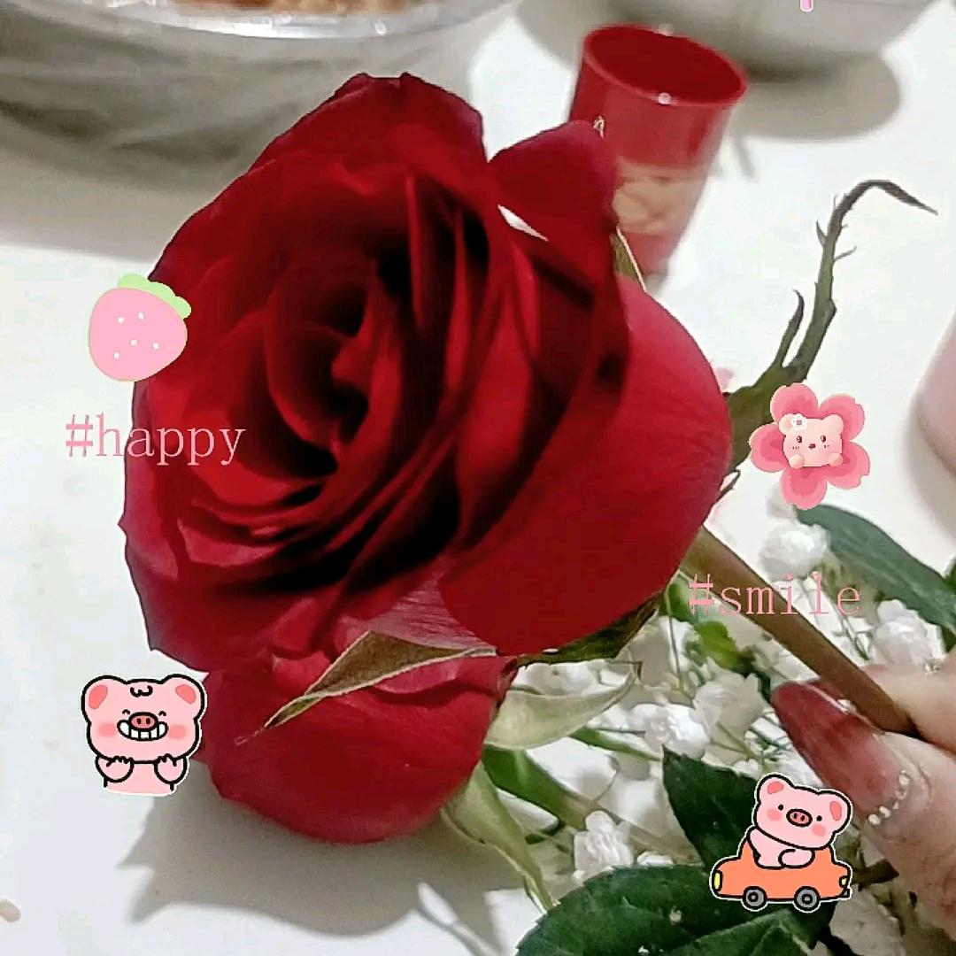 ꩒꒷ᰰᰮ😇人间ཀྃ小迷糊້໌༉ᩚ😇᭄