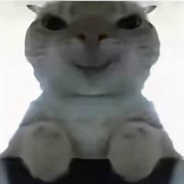 大鹅（地铁逃生）