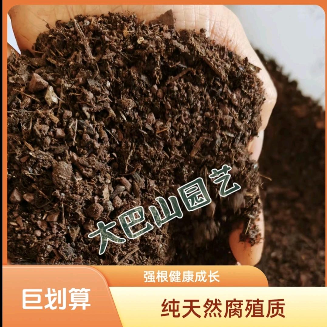 大巴山园艺