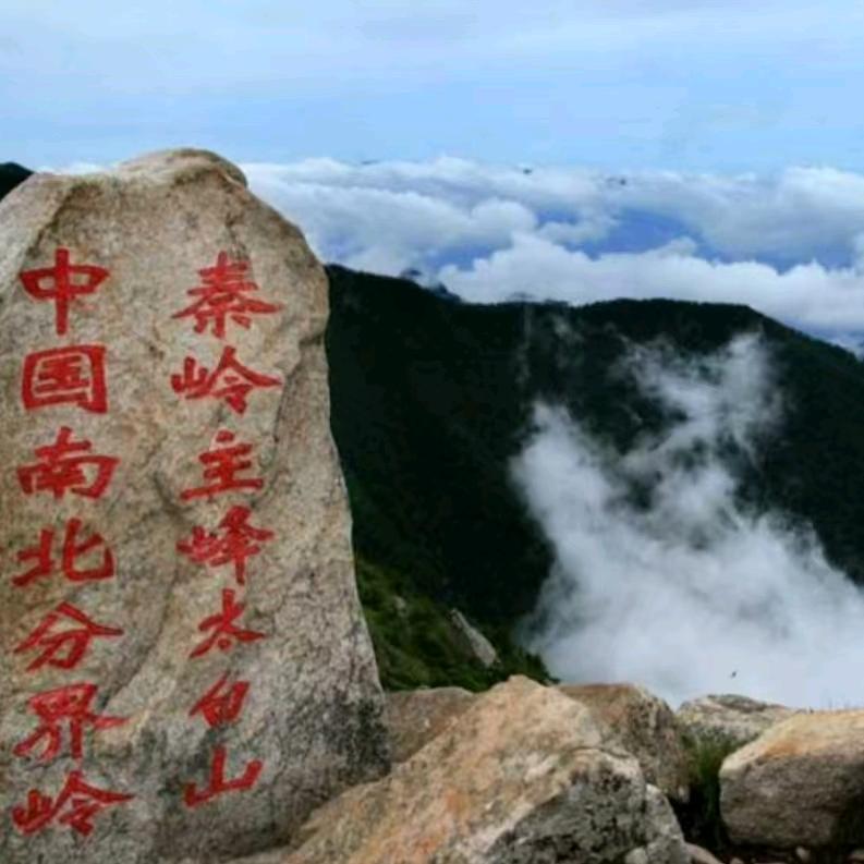 路人佳