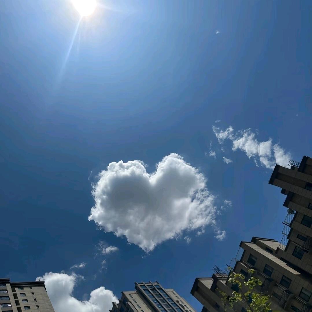 赵家姑凉