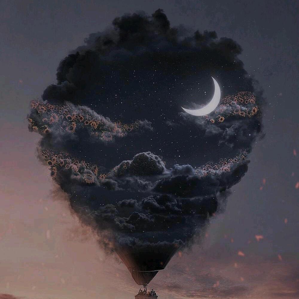 VERY、鲸鱼（三角洲行动）