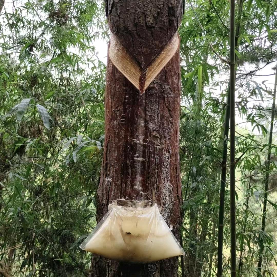 中兴名门