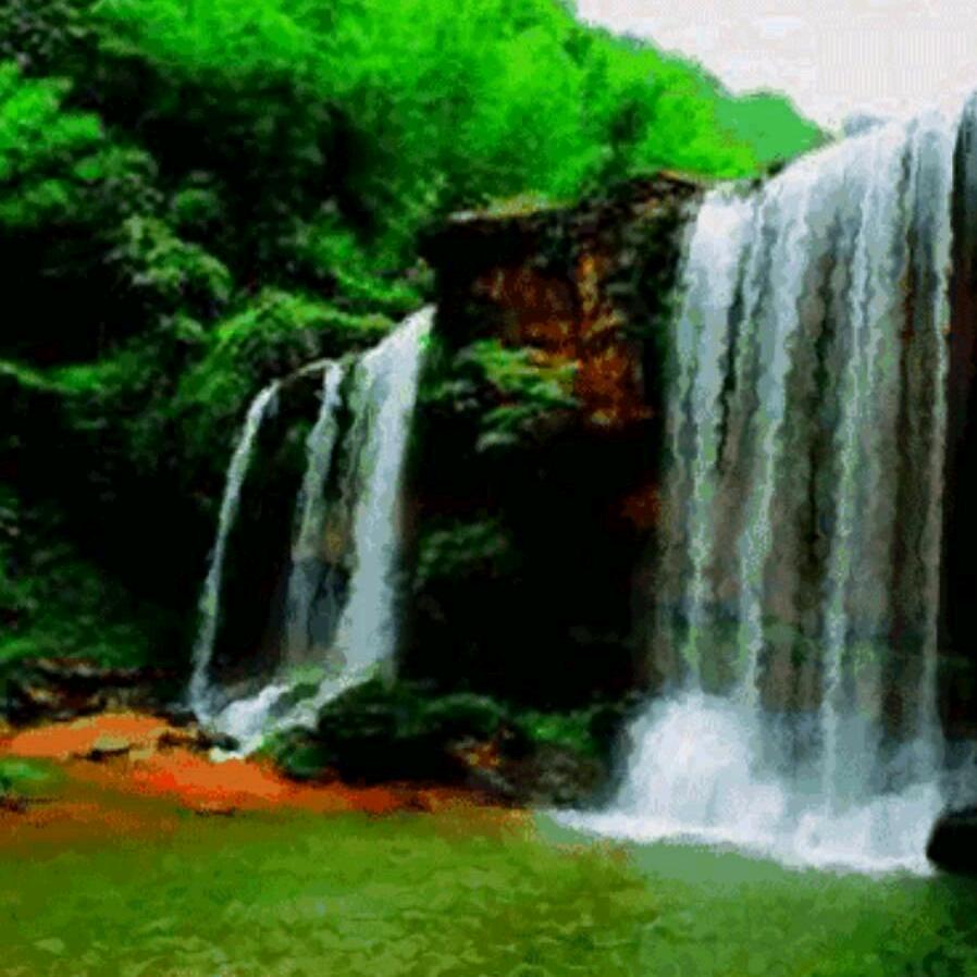 🎶诺亚方舟🎶