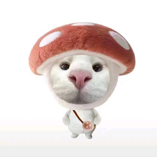 吃一颗橙子fan