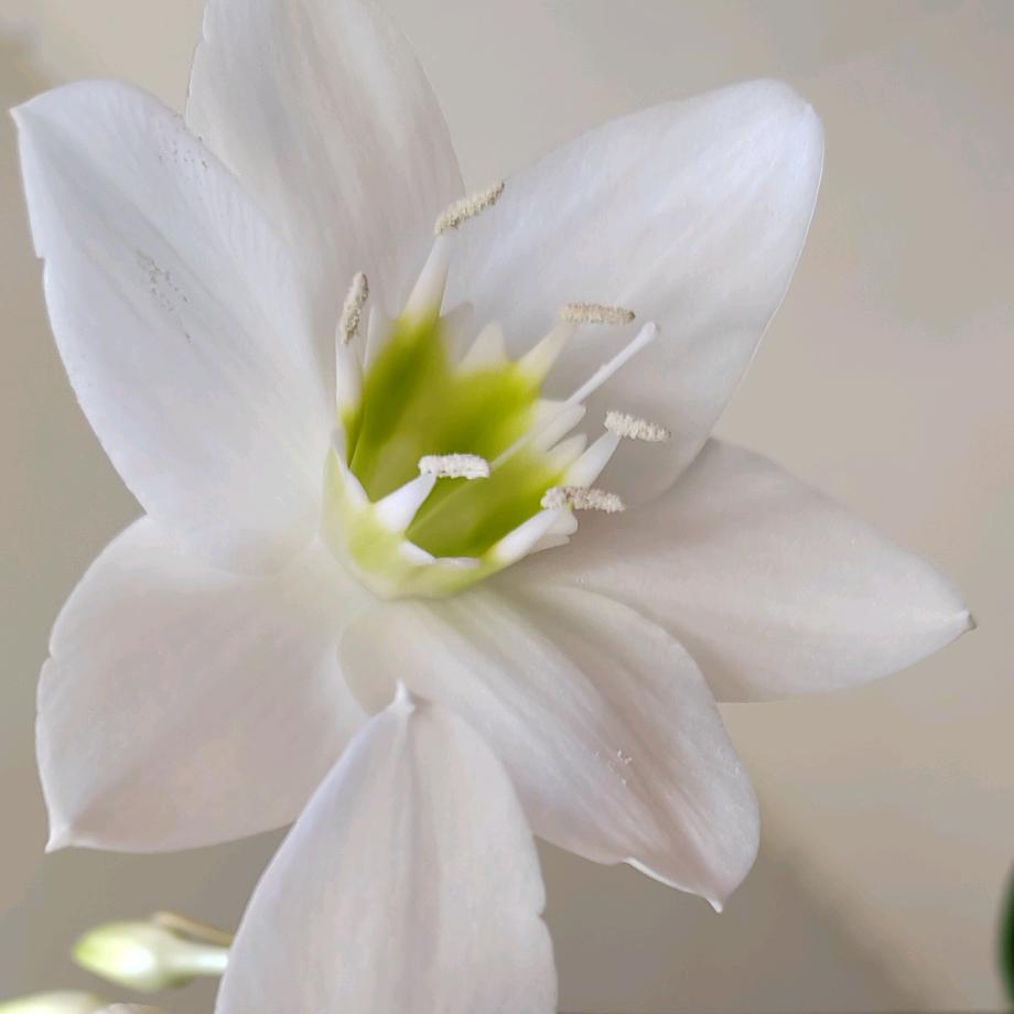 ꧔ꦿ℘余生💞᭄᪲ᩚ꯭ᩚ我独行꧔ꦿ᭄꧔