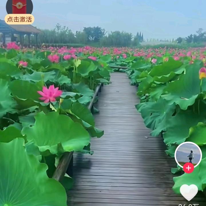 顶丰年农资工厂店