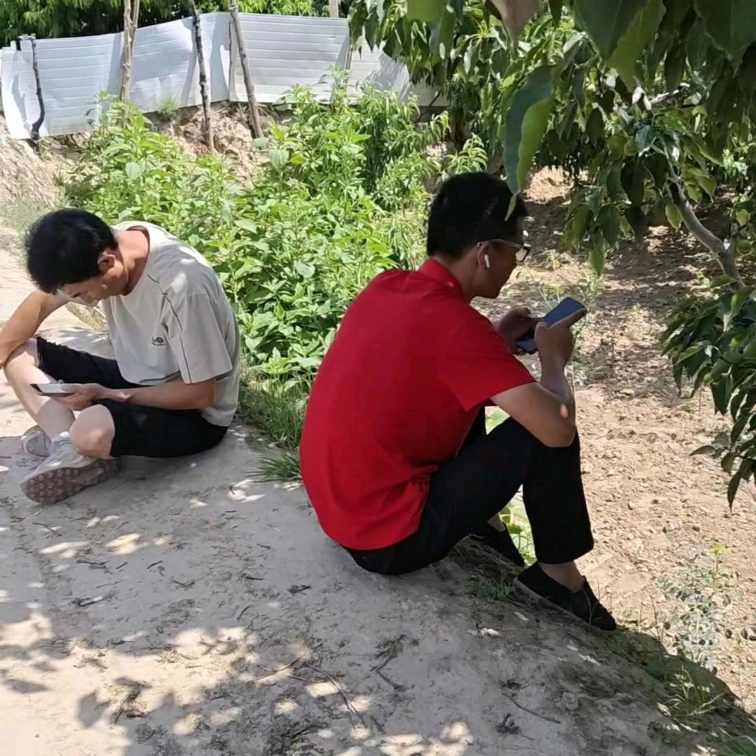 甘肃特产甄选精品店