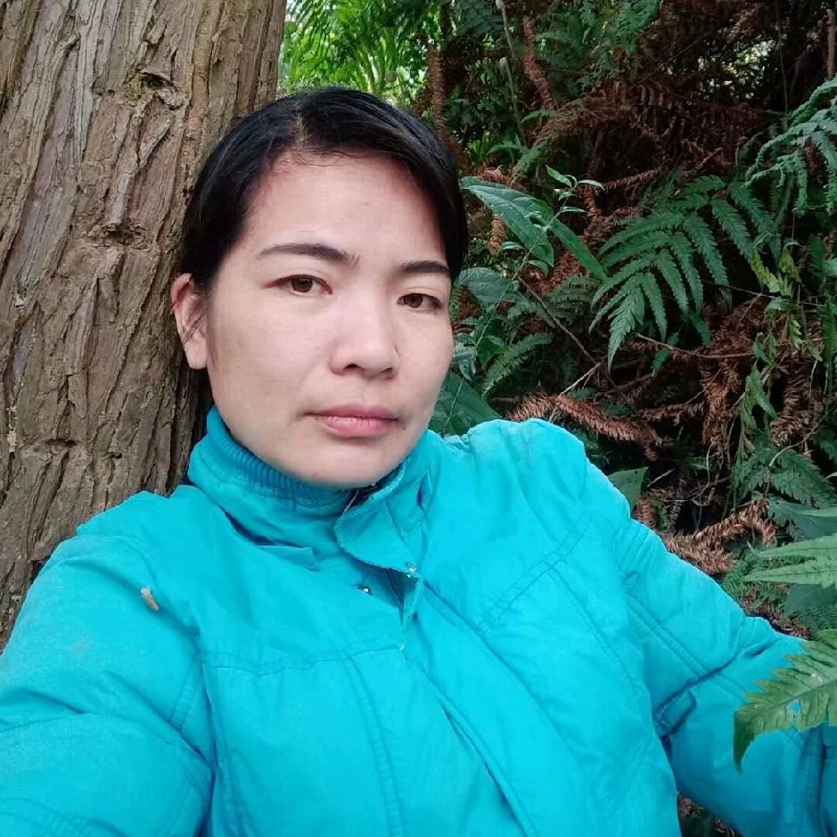 老吴阿姨