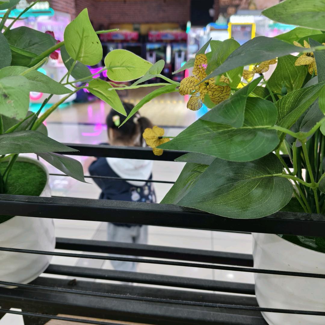 琪宝