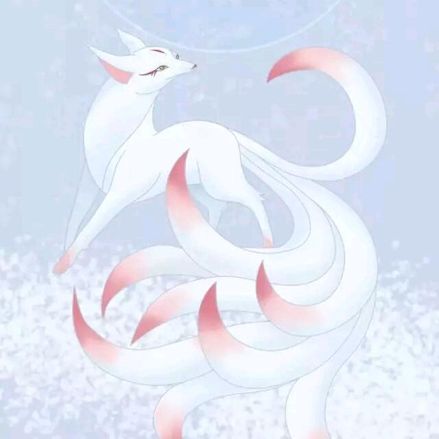 九  尾