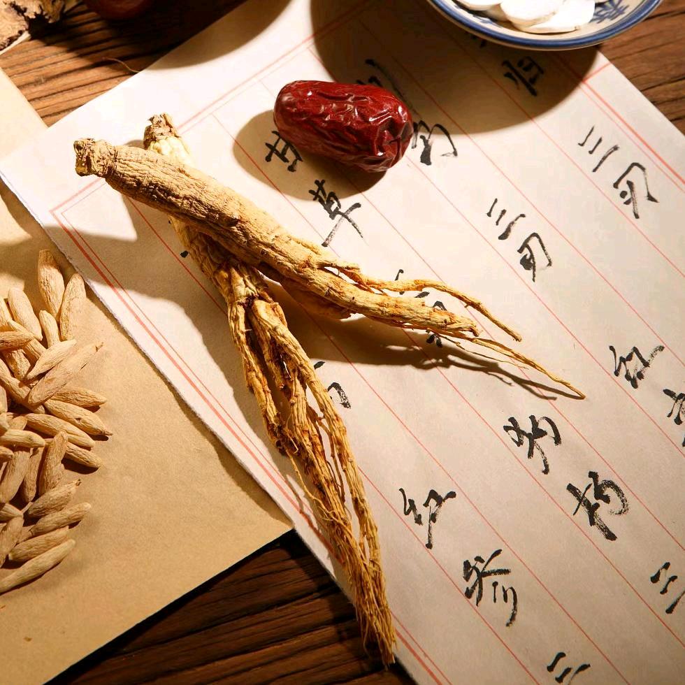 屿风小鹿