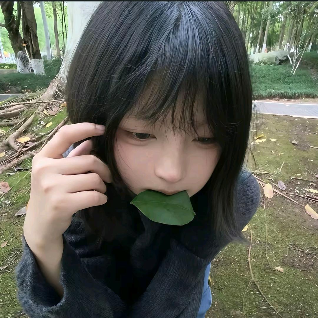 圆小圆又圆♊
