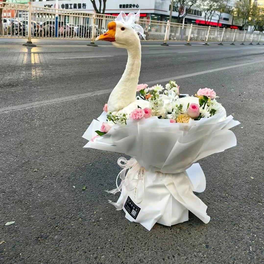 ``𝓜.↗随心ོྂཾ࿆