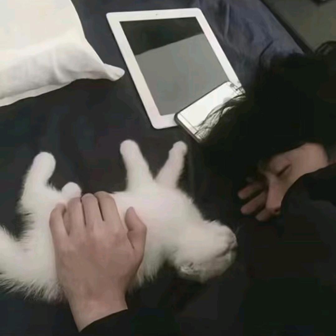 ず吴小少爷