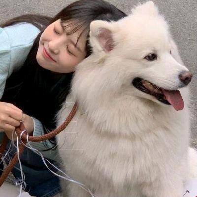 牵伏
