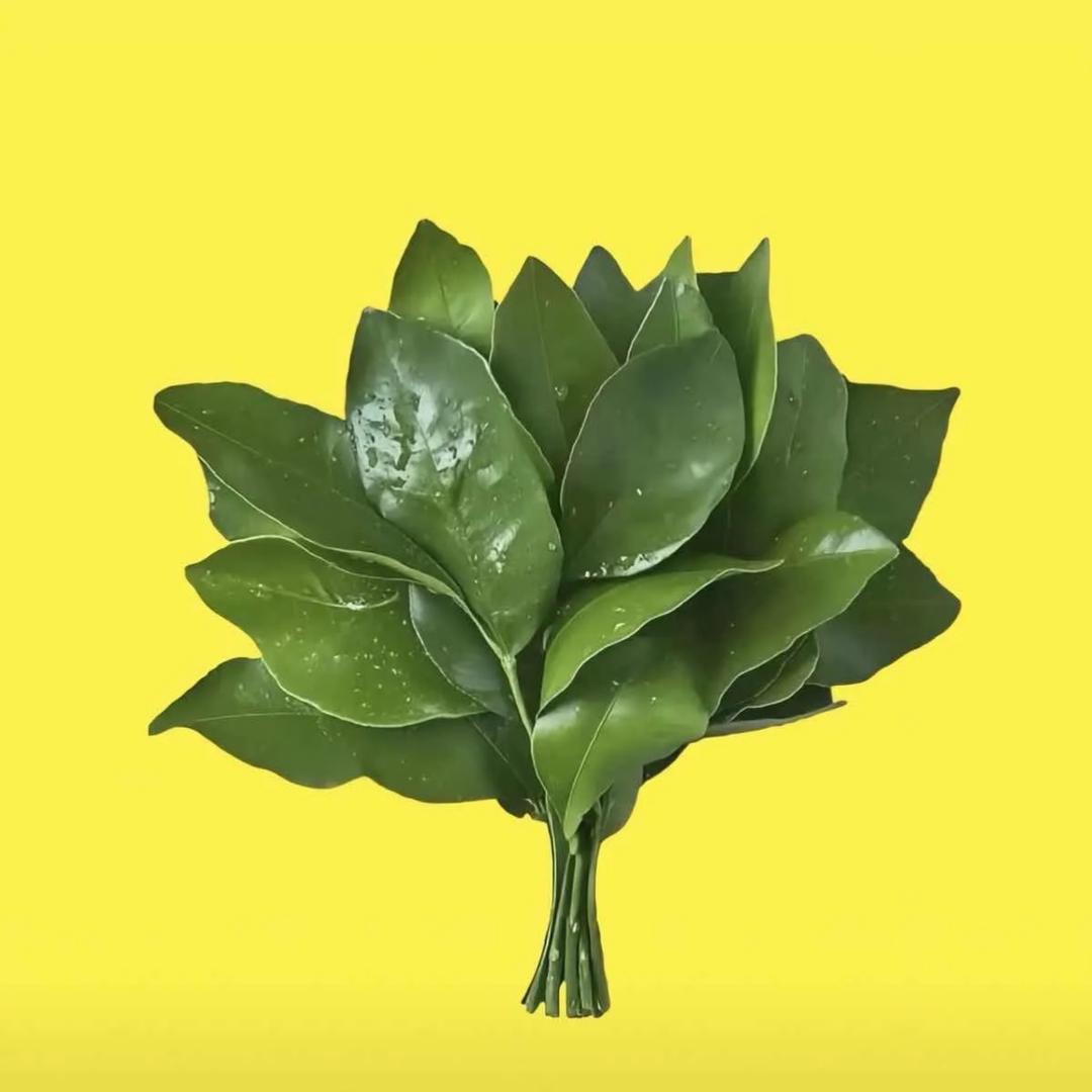 户大姐土豆粉