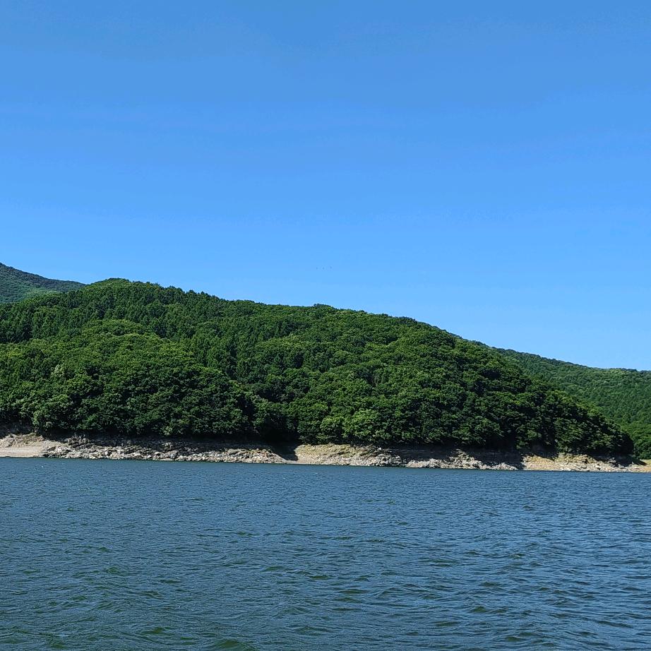 凯撒·路德·李❤️😁