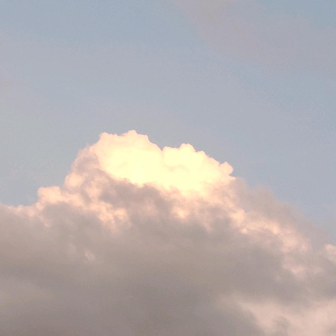 浪漫过敏