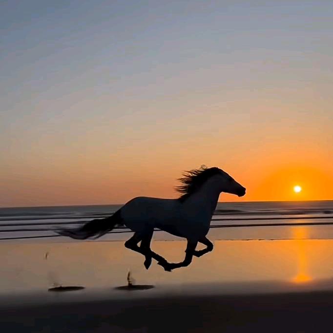 济南佳福盛食品