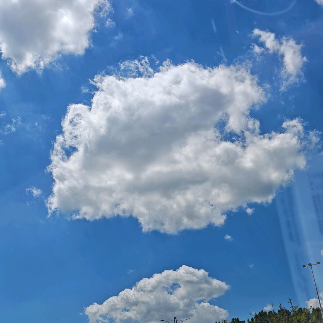 🌈曼珠の沙华🌈