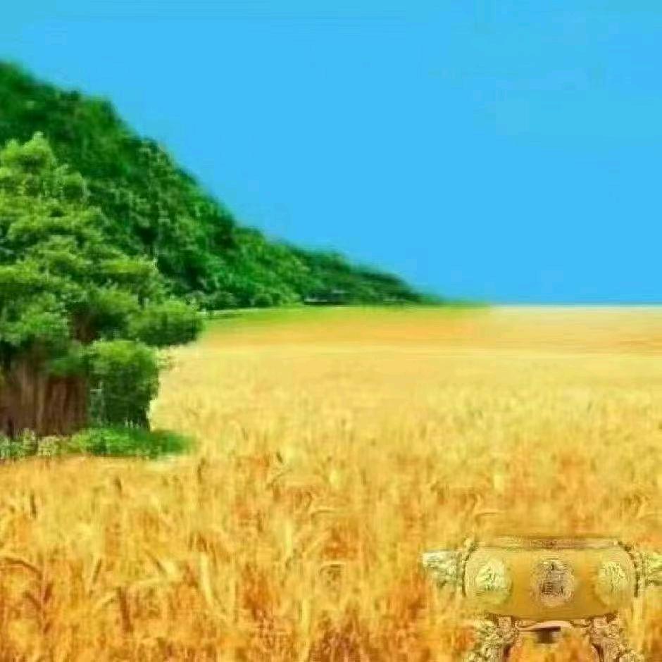 🔥🔥🔥龙居开心人🔥🔥🔥