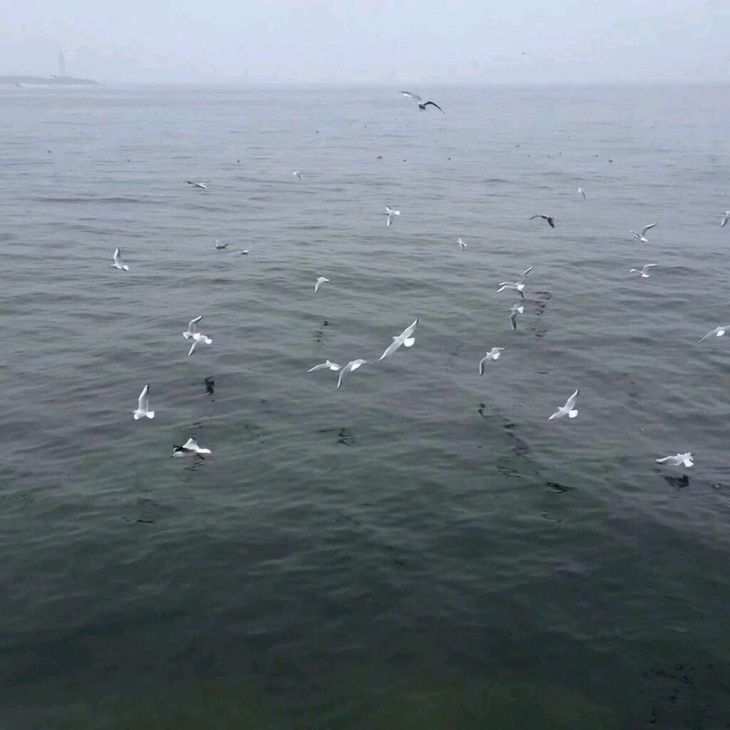 迷涩空静