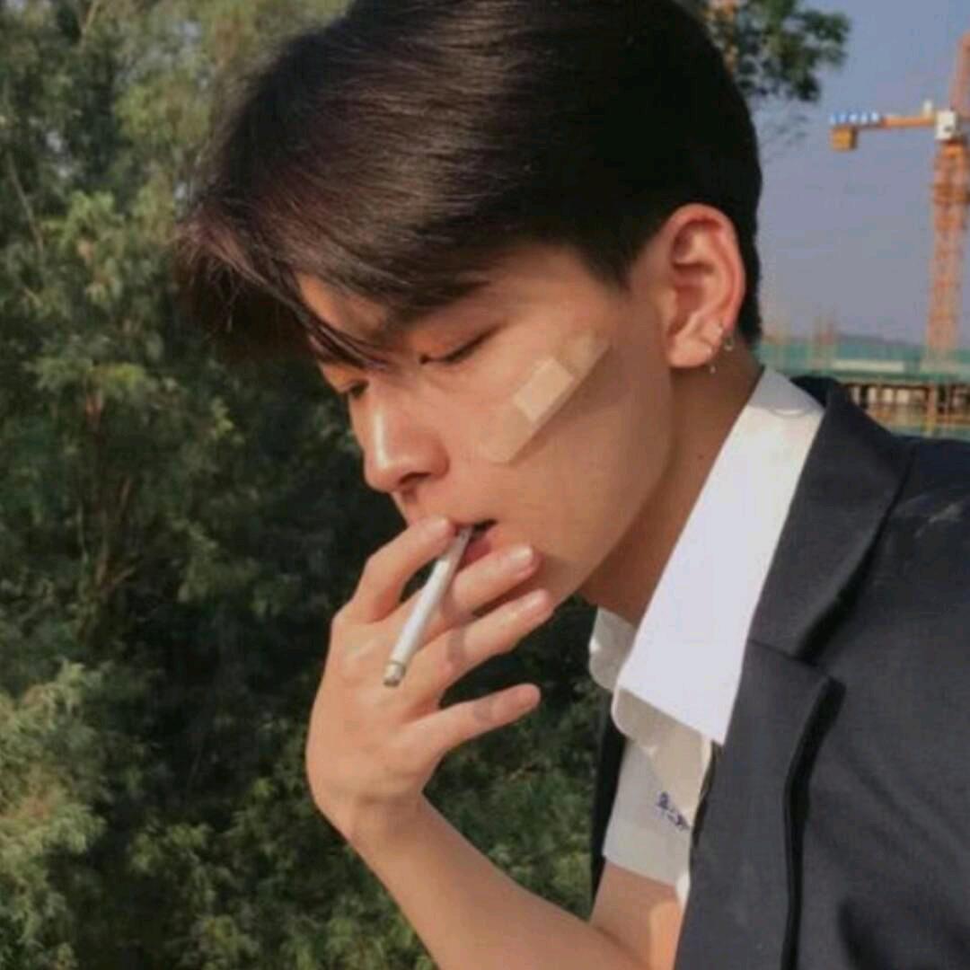 家居材料美容修复小z