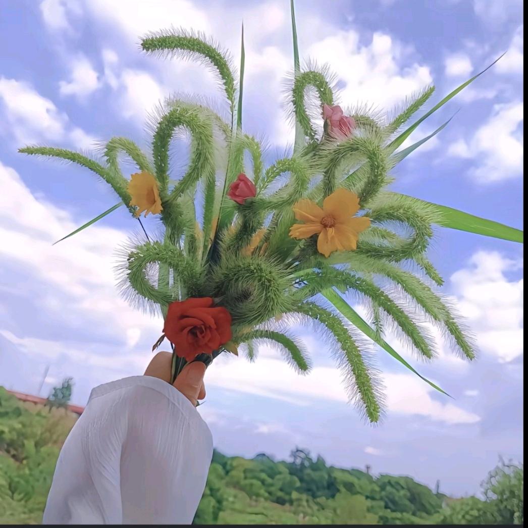 🥀᭄清风伴酒꧔ꦿ