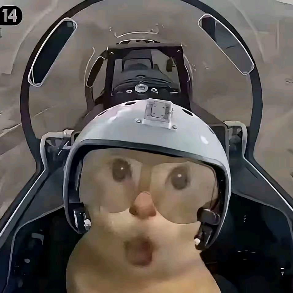 驽钝