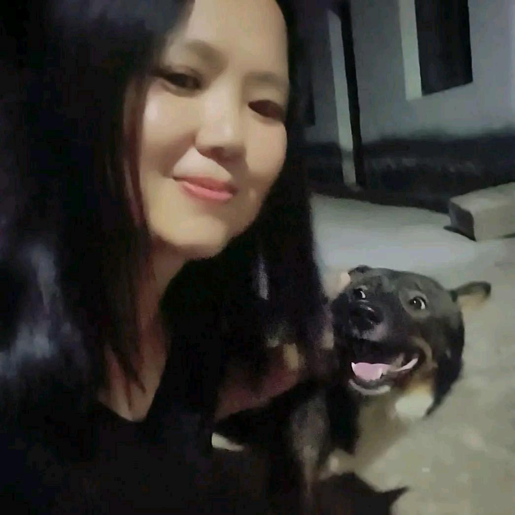 我家傻蛋在天堂