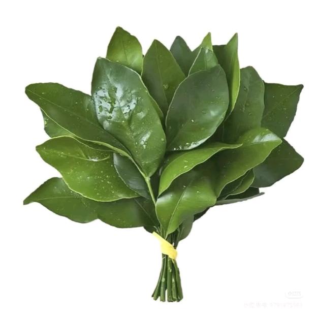 王夫俗子