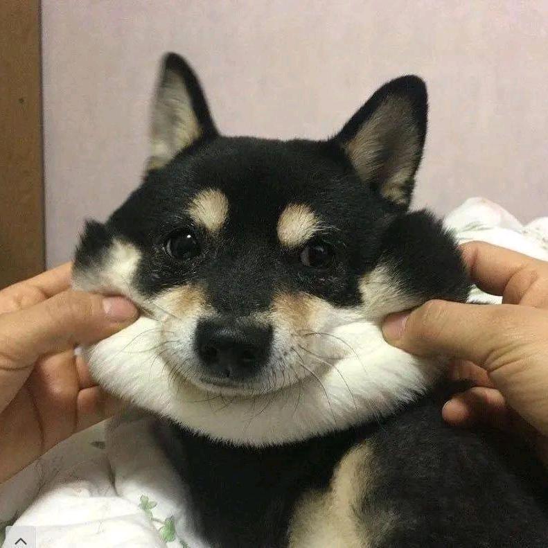 云巅小天