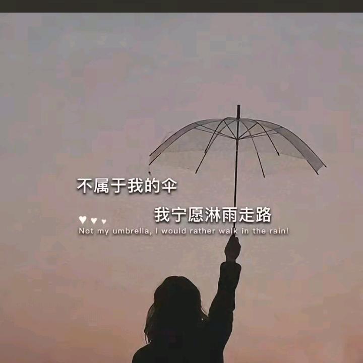 白茶清欢无别事