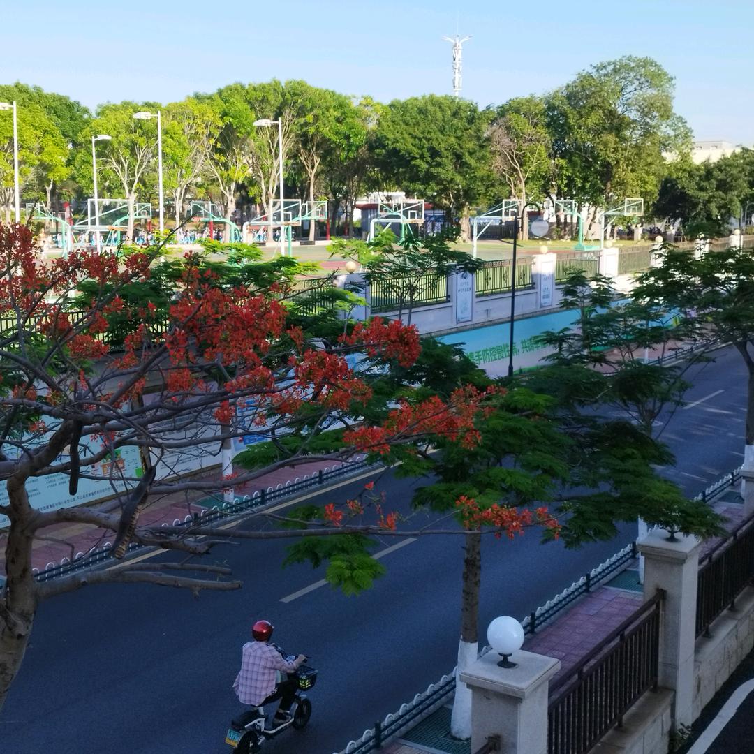 缘来是错头像